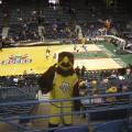 eagleatbucks_game.jpg